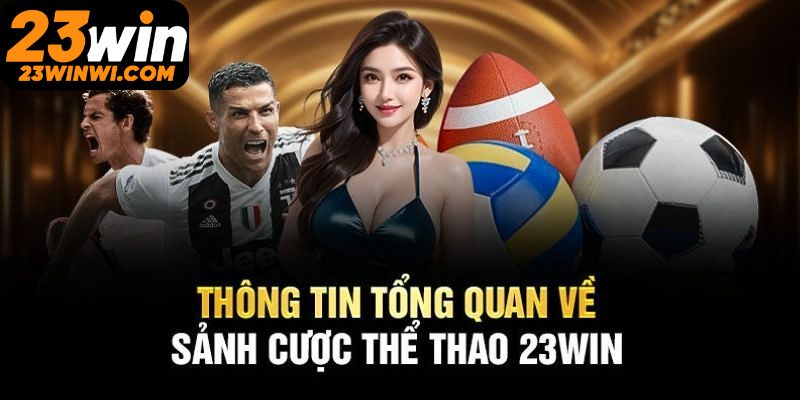 Giới thiệu tổng quan về sân chơi thể thao 23win